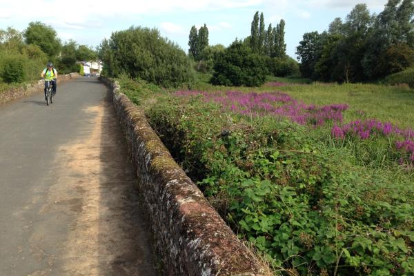 Cyclist on Clyst St Mary medieval bridge