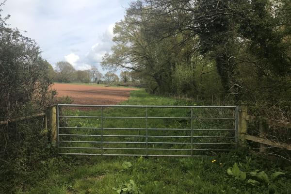 A gate and fields by a woodland