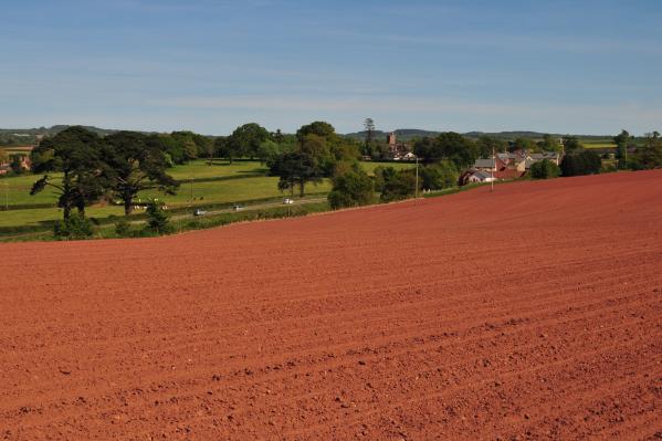 Red soils with Clyst St George village and church in the background