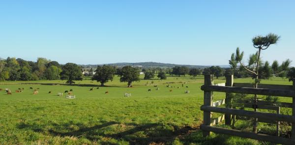 Poltimore Park County Wildlife Site