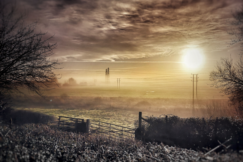 Winter sun in the Clyst Valley by James Cook