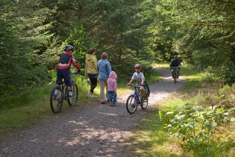 Families walking and cycling
