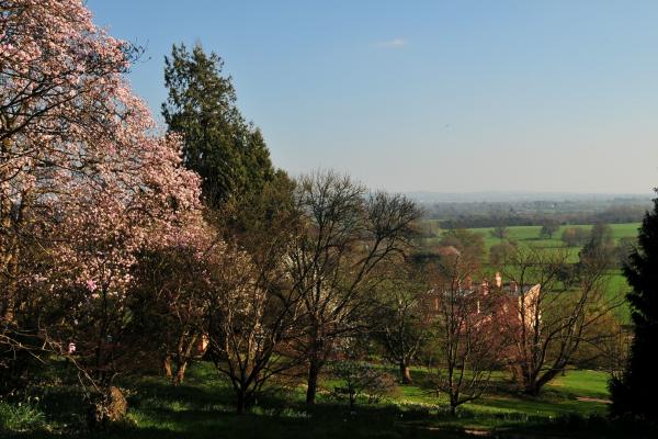 Landscape at Killerton House in spring