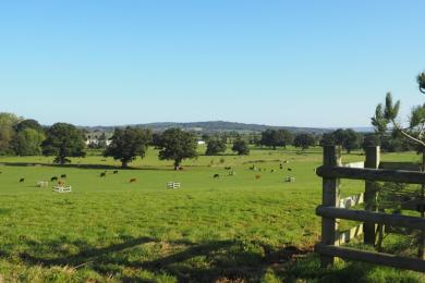 Poltimore Park County Wildlife Site