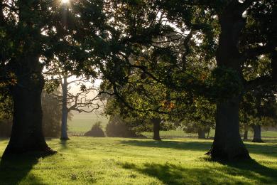 Photo of Poltimore Park