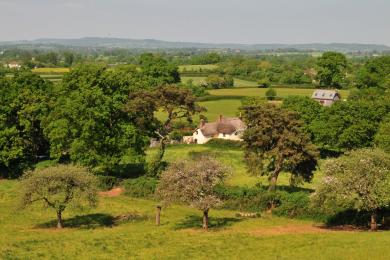 Clyst Valley landscape from a Whimple orchard by Simon Bates