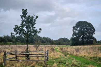 Minerva Country Park