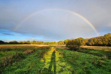 Rainbow Clyst Meadows