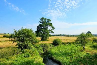 River Clyst, Clyst Honiton