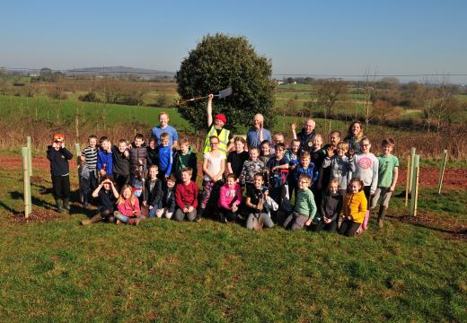 young people help plant trees