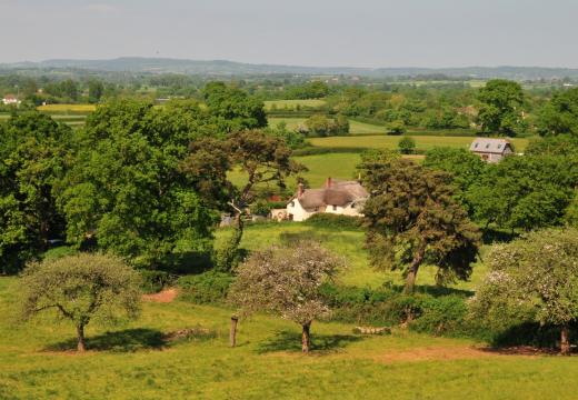 Clyst Valley landscape from a Whimple orchard by Simon Bates