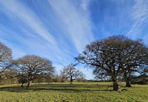 Bishop's Court Deer Park