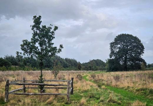 Minerva Country Park