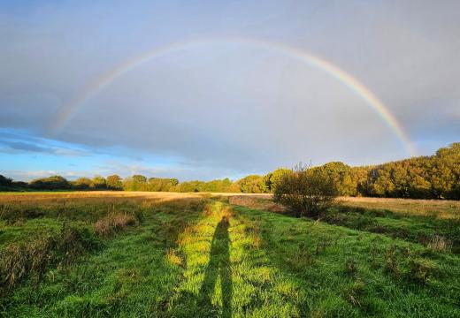 Rainbow Clyst Meadows