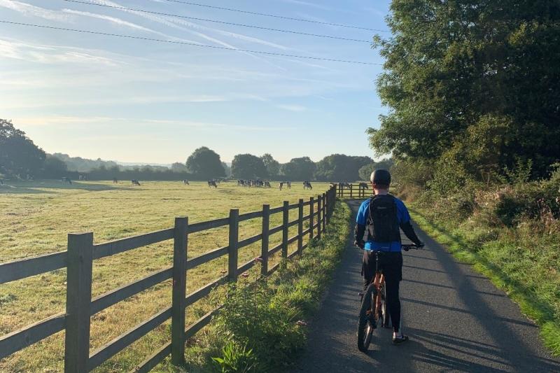 Clyst Valley Trail