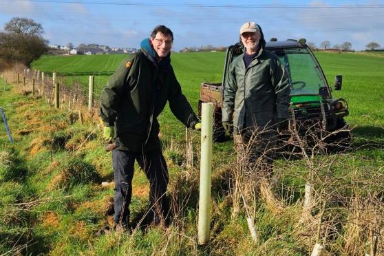 Simon Bates and Henry Gent plant oak trees